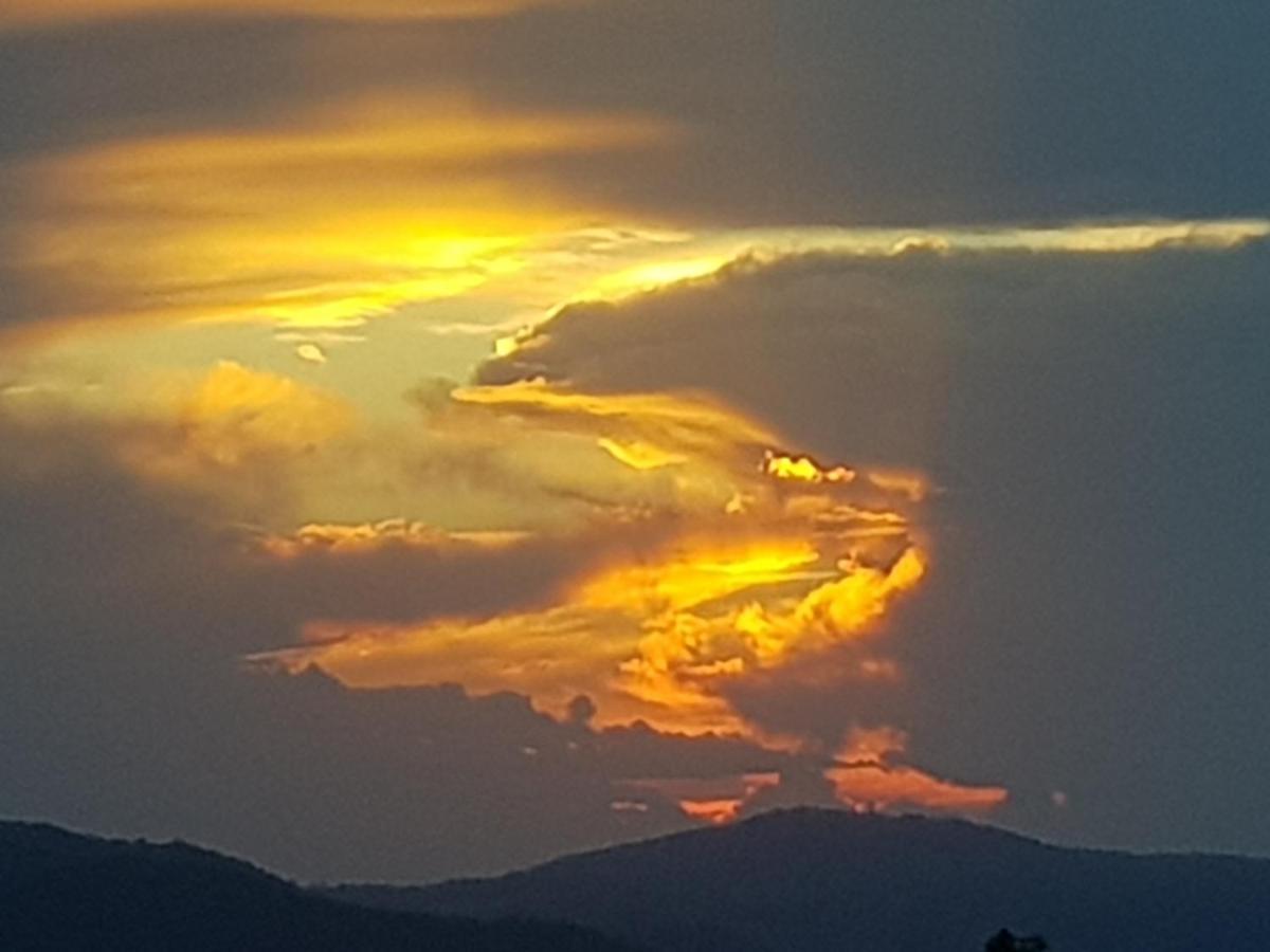 Mapleton Peaceful Provence Bnb Εξωτερικό φωτογραφία